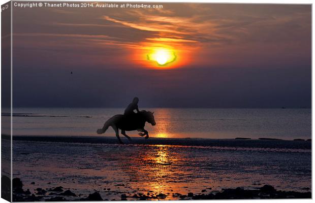  Horse on the beach at sunset Canvas Print by Thanet Photos