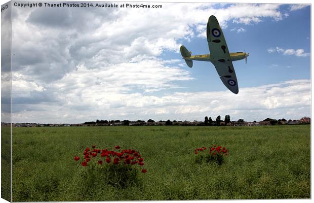  Low level Spitfire Canvas Print by Thanet Photos