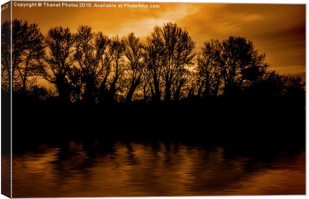  Tree silhouette  Canvas Print by Thanet Photos
