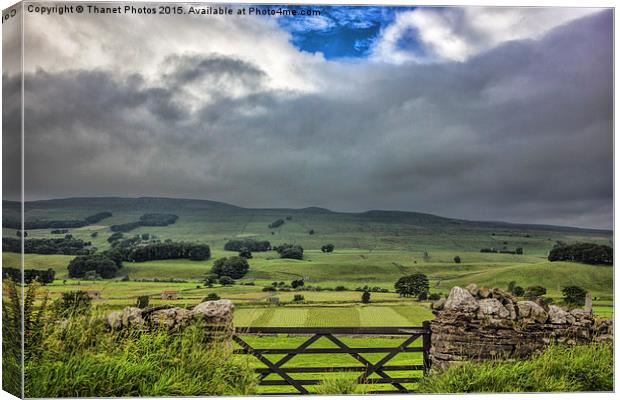  Yorkshire Dales Canvas Print by Thanet Photos