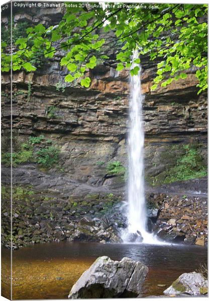   Hardraw Force waterfall.  Canvas Print by Thanet Photos