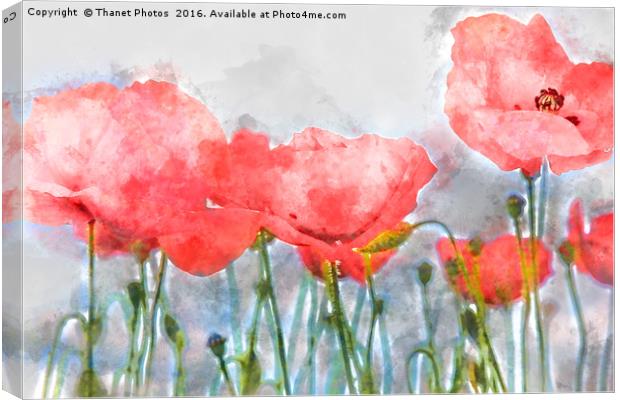 Poppy's in water colour Canvas Print by Thanet Photos