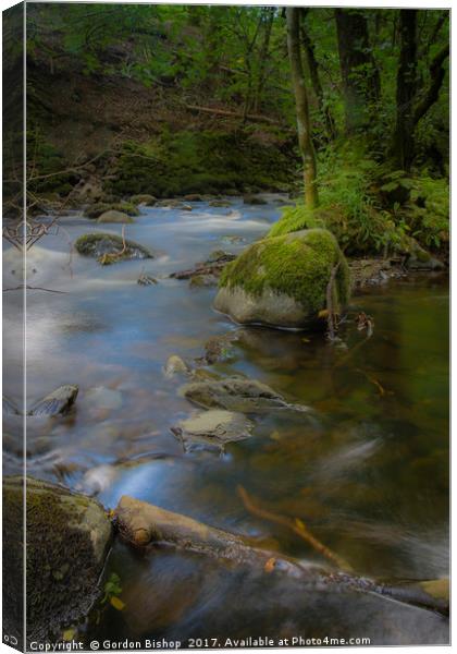Lakeland stream Canvas Print by Gordon Bishop
