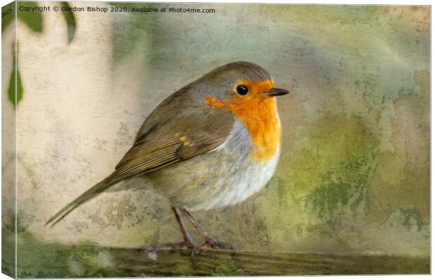 Grunge Robin Canvas Print by Gordon Bishop