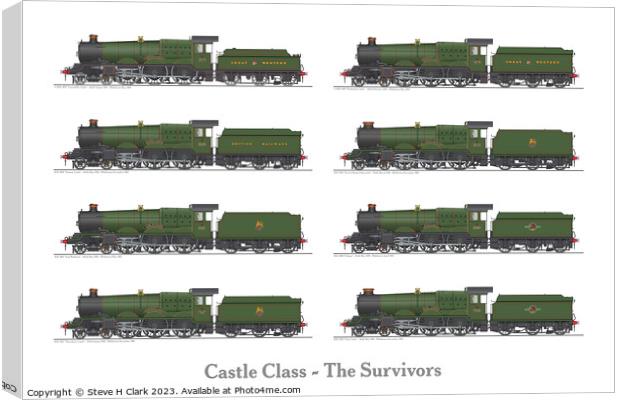 Castle Class - The Survivors Canvas Print by Steve H Clark