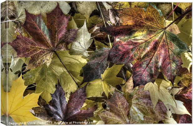Autumn Colours Canvas Print by Steve H Clark