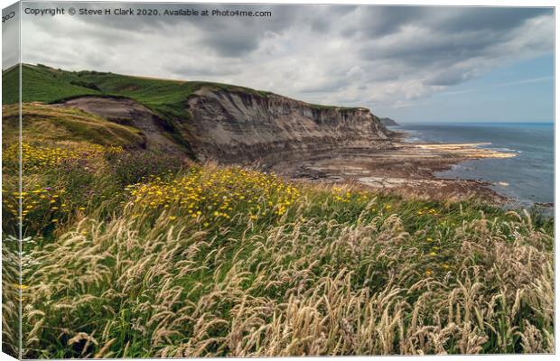 North Yorkshire Coastal Path Canvas Print by Steve H Clark