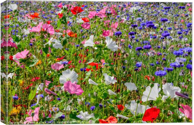 Colourful Wildflower Meadow Canvas Print by Steve H Clark