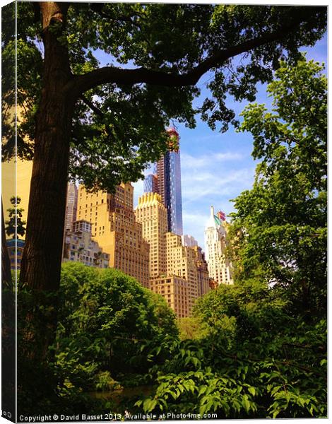 New York through central park Canvas Print by David Basset