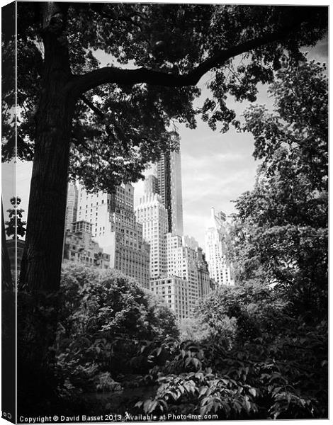New york view central park Canvas Print by David Basset