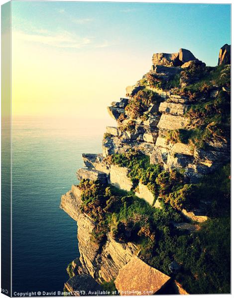 Valley of the rocks north devon sea view Canvas Print by David Basset