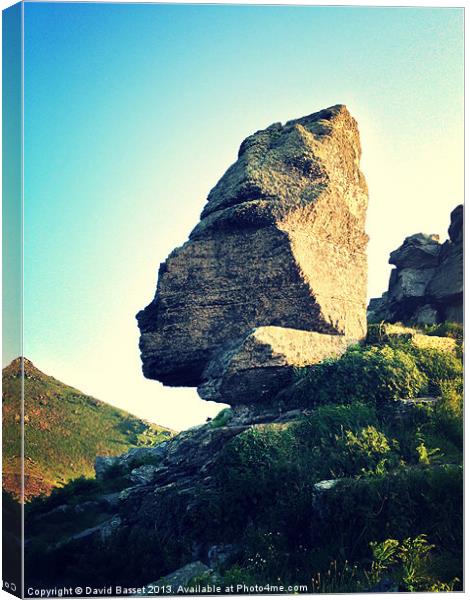 Rock at valley of the rocks Canvas Print by David Basset