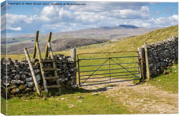 Ingleborough above the village of Feizer in the Yorkshire Dales Canvas Print by Peter Stuart