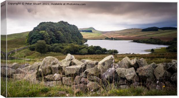 Peel Crags above Once Brewed on Hadrian's Wall Walk Canvas Print by Peter Stuart