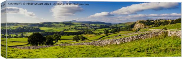Ingleborough from the Old Quarry at Langcliffe Canvas Print by Peter Stuart