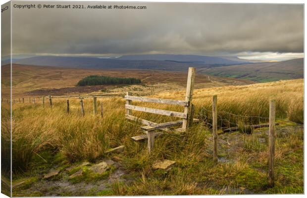 Blea moor and Dent Head in the Yorkshire Dales Canvas Print by Peter Stuart