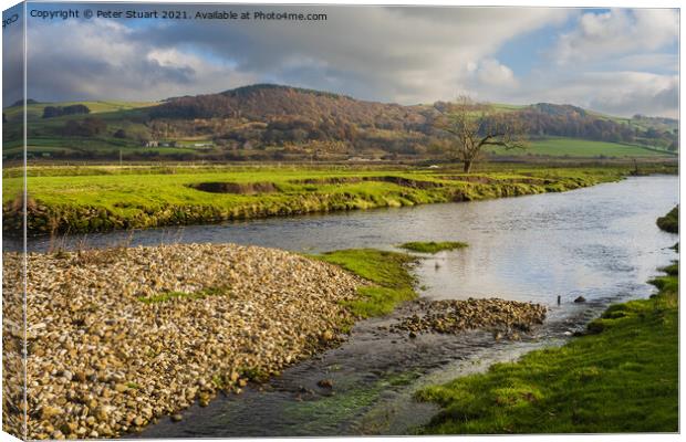 Walking on the Ribble Way betwwen Langcliffe and Rathmell in the Canvas Print by Peter Stuart