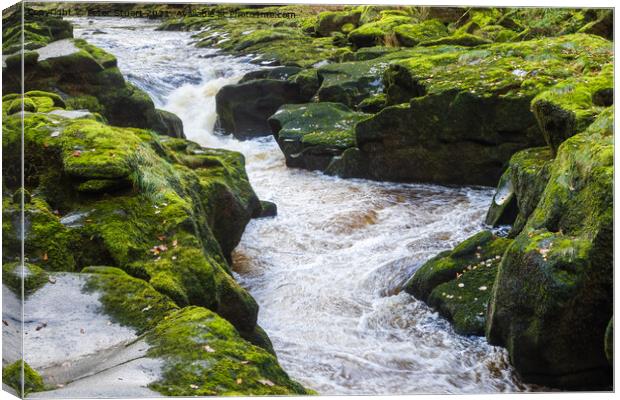 The Strid, River Wharfe, near Bolton Abbey Canvas Print by Peter Stuart