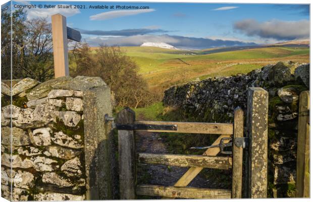 Hill walking between Langcliffe, Attermire Scar and Settle via t Canvas Print by Peter Stuart