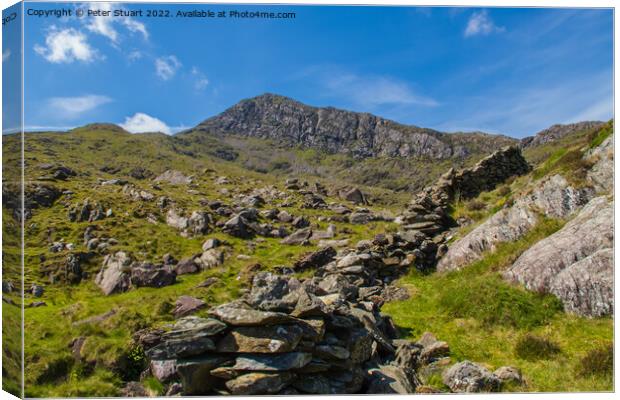 Moel Hebog is a mountain in Snowdonia, north Wales Canvas Print by Peter Stuart