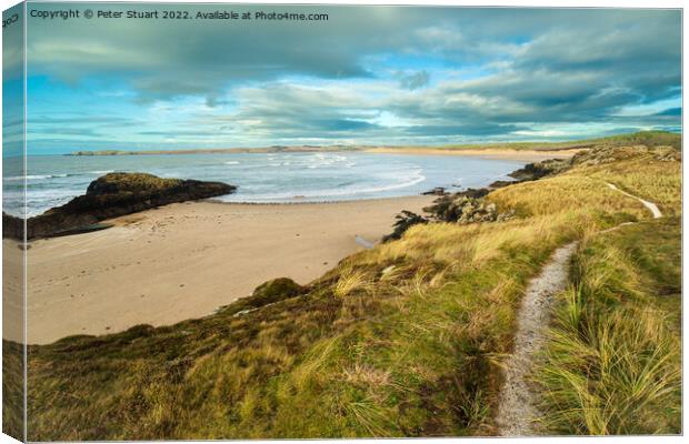 Malltraeth Bay on the  Isle of Anglesey  Canvas Print by Peter Stuart