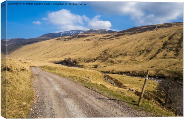 Glen Tilt is a special valley in the Cairngorms of Scotland. Canvas Print by Peter Stuart