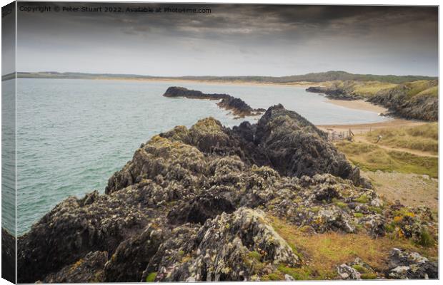 Newborough Warren is an extensive sand dune system and includes  Canvas Print by Peter Stuart