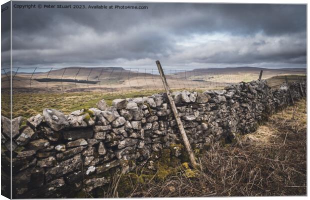 Wild Boar Fell and Archy Styrigg in the Yorkshire Dales near to  Canvas Print by Peter Stuart