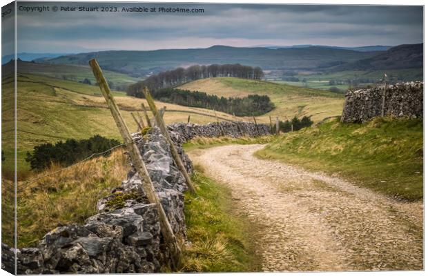 Walking on the Pennine Way and Ribble Way below Pen-y-Ghent Canvas Print by Peter Stuart