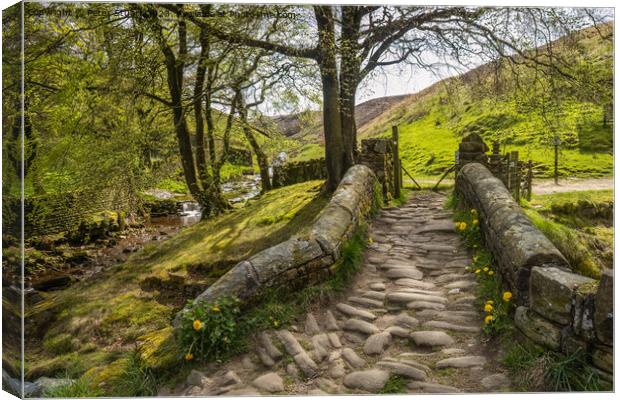 Hill Walkin g on the Pennine Way and Pule Hill above Marsden in  Canvas Print by Peter Stuart