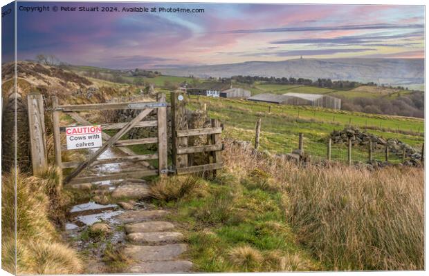 Sign above Todmorden on the Calderdale Way Canvas Print by Peter Stuart