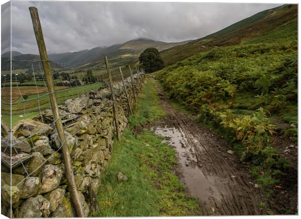  Troutbeck Tongue Canvas Print by Peter Stuart