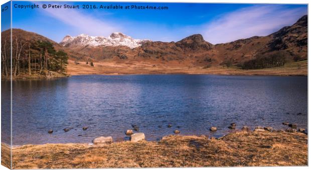 Blea Tarn and the Langdale Pikes Canvas Print by Peter Stuart