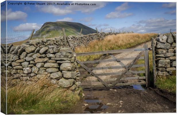 Pen-Y-Ghent from near Helwith Bridge Canvas Print by Peter Stuart