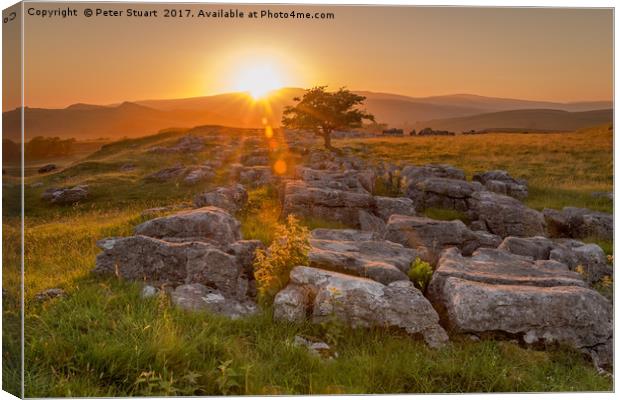 Sunset over Winskill Stones at Langcliffe, Yorkshi Canvas Print by Peter Stuart