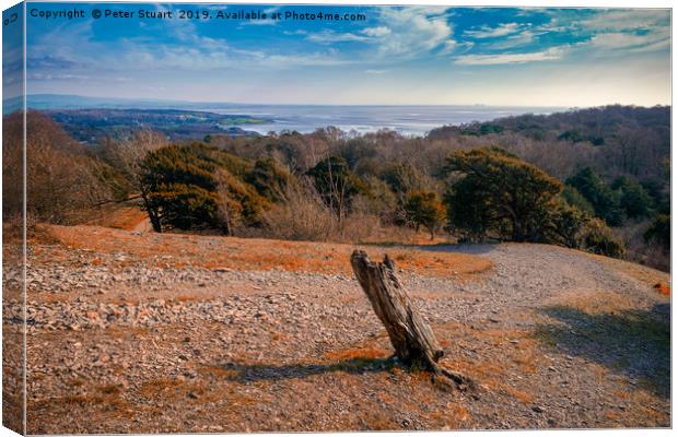 Carnforth from the top of Arnside Knott Canvas Print by Peter Stuart