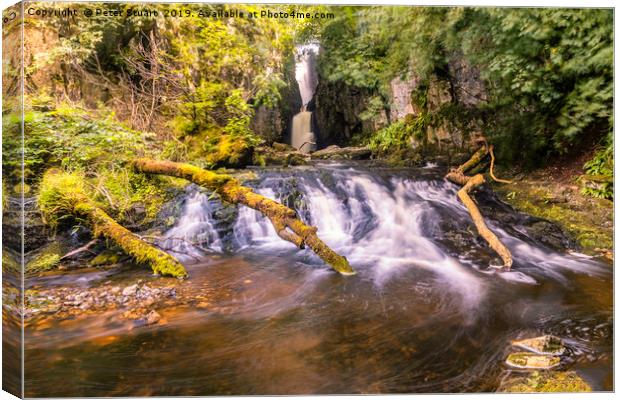 Catrigg Force, Stainforth Canvas Print by Peter Stuart