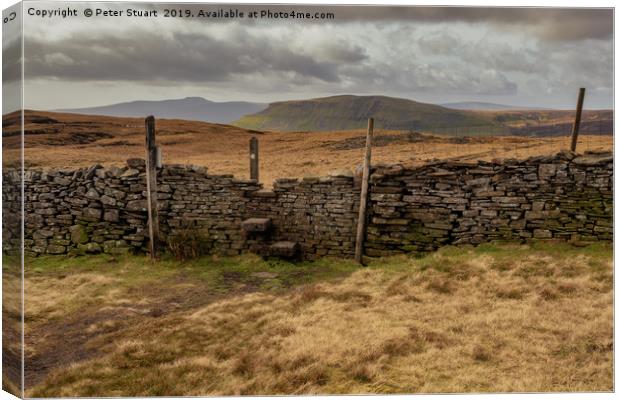 Pen-Y-Ghent from Fountains Fell Canvas Print by Peter Stuart