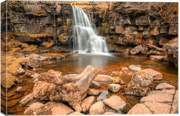 East Gill Force, Swaledale Canvas Print by Peter Stuart