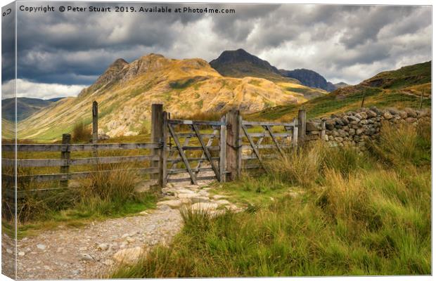 The Langdale Pikes  Canvas Print by Peter Stuart