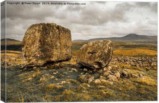 Kingsdale Cheese Press Canvas Print by Peter Stuart
