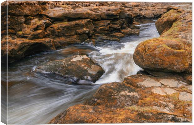 The Strid on the River Wharfe  Canvas Print by Peter Stuart