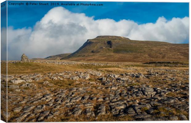 Ingleborough and Whernside in the Yorkshire Dales Canvas Print by Peter Stuart