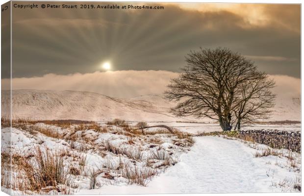 Snowtime at Ribblehead  Canvas Print by Peter Stuart