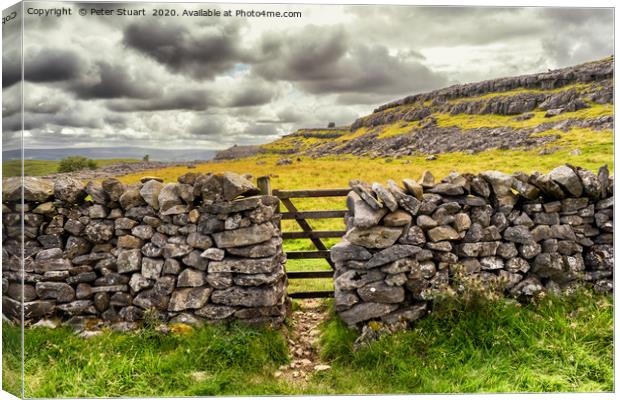 Kingsdale Erratics above Ingleton Canvas Print by Peter Stuart