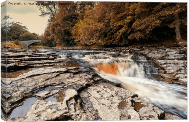 Stainforth Force, North Yorkshire Canvas Print by Peter Stuart