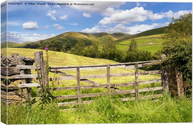 The Howgills and Sedbergh Canvas Print by Peter Stuart