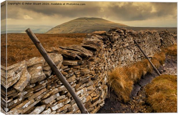 Pen-y-ghent and the Yorkshire 3 Peaks Canvas Print by Peter Stuart