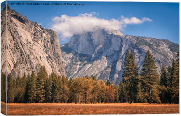 Half Dome is a granite dome at the eastern end of Yosemite Valley Canvas Print by Peter Stuart