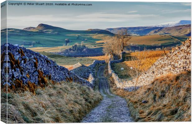 Goat Scar Lane, Stainforth, Ribblesdale, North Yorkshire  Canvas Print by Peter Stuart